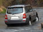 Hyundai Terracan 2004 года (ZA)
